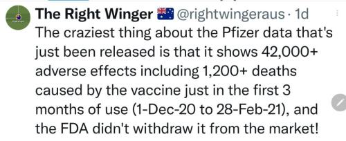 Phizer Data 1