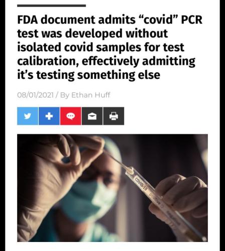 PCR Test 1