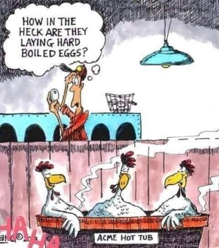 275232622_3126462344297865_4726053814251162050_n