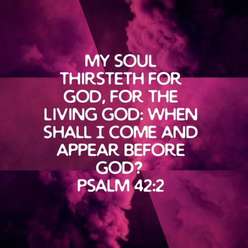 03:25:57 GMT-0500 (EST)