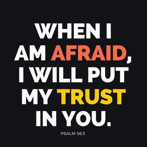 135f9cad-8d61-4b35-8f5f-ba8456d7e37b