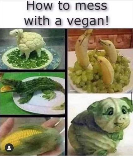 FB_IMG_1647456998178
