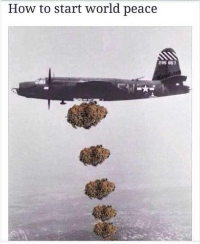 FB_IMG_1646619399016