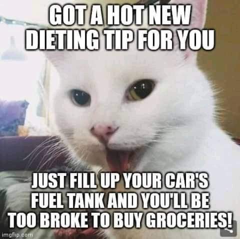 FB_IMG_1646954421790