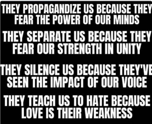 They Fear us 1