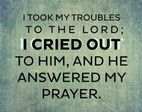 Screenshot_20220303-063516_DuckDuckGo