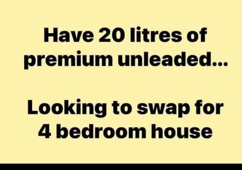 FB_IMG_1647044560835