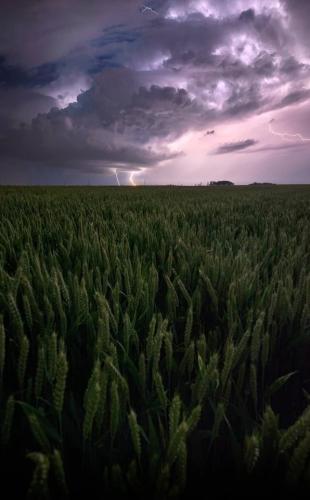 tumblr_099f648964860fc8cd8d3ebd361b905a_bb643506_640