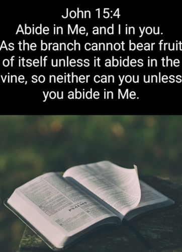 Screenshot_20220306-074546-706~2