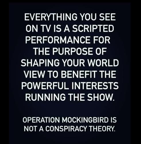 275557357_103355882313632_6584501738299769292_n