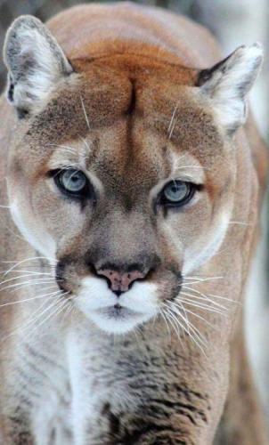 a2311dfa6cf00c4d968c90d4b8127056