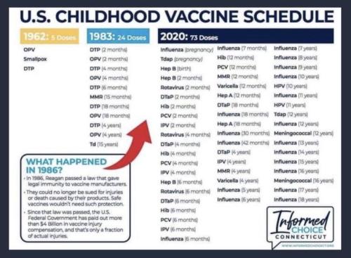 Vaccine Schedule