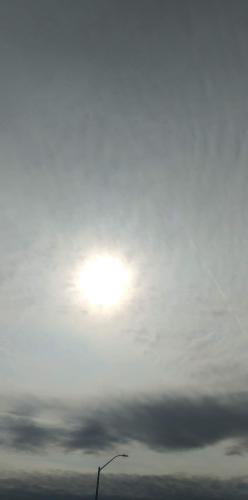 received_3133411456915228