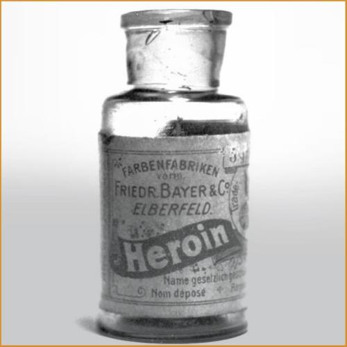 275550734_521138902714246_675698768647054228_n