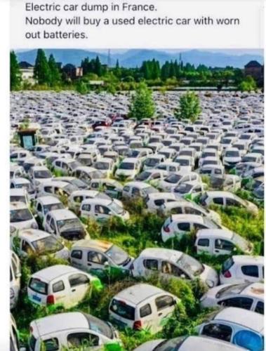 FB_IMG_1647194596541