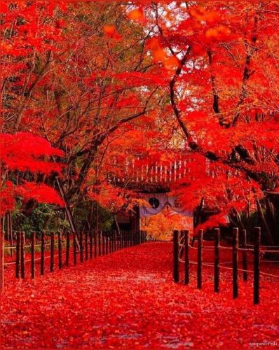 275828835_484726183281858_6517314874782221011_n