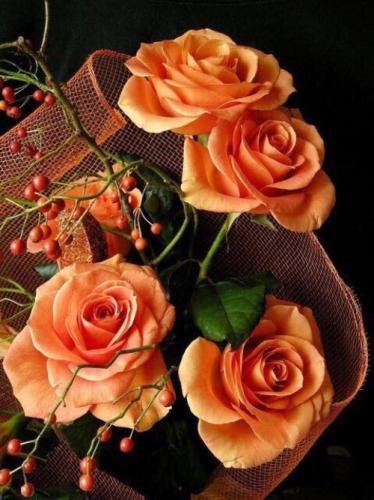 20:29:33 GMT-0500 (CDT)