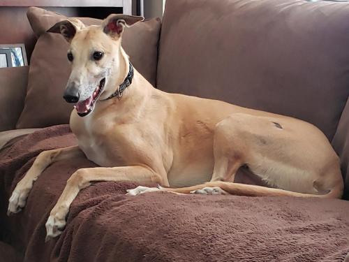 192f3b3c-8e78-40aa-8c35-0e3a3368cbd7