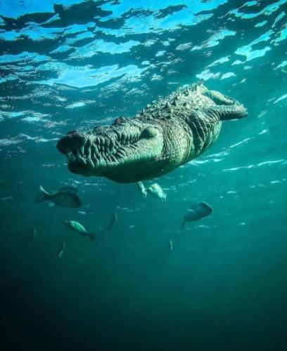 tumblr_cff00f35f046c64acd22b6fe74342fca_e93f6f90_540