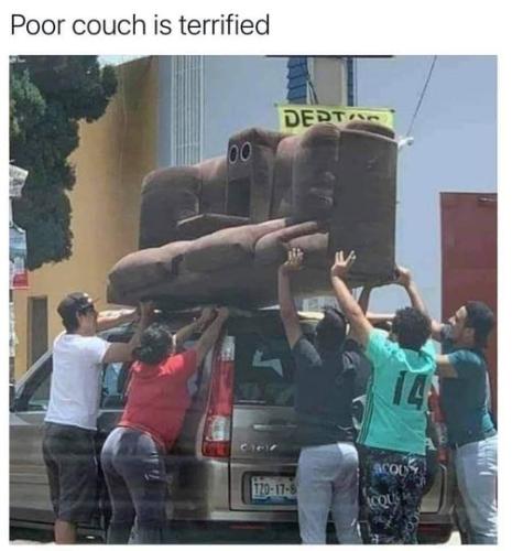 couch_terrified