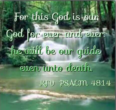 6f0e6da7-17ef-416d-b0b5-7cdccfdb8351