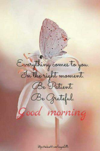 05:00:35 GMT-0800