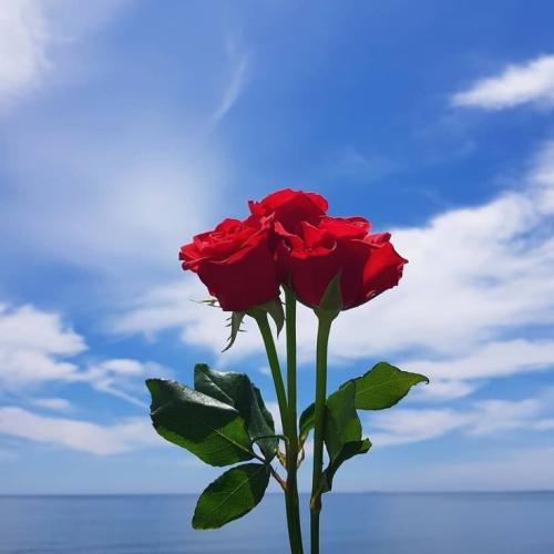 09:54:51 GMT-0500 (CDT)