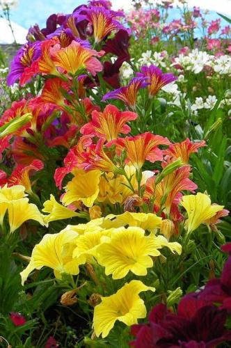 19:48:42 GMT-0600 (CST)