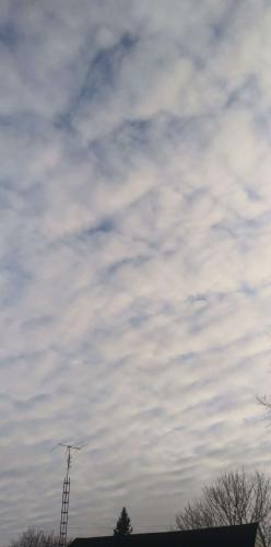 9e293173-6ad5-40cc-a8d1-26a1c59c047e