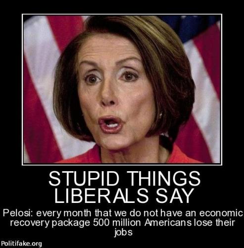 a0ebf6fa9d15294eb76031185e4d96bf--stupid-liberals-stupid-things