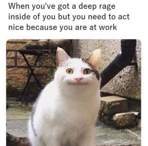 FB_IMG_1648070601629
