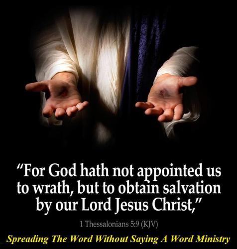 13921034_995767210522410_3444341824069983907_n