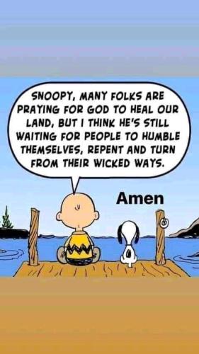 FB_IMG_1647550571970