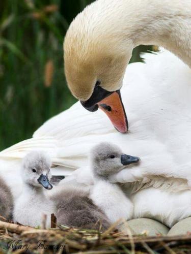 tumblr_38d8c2cc49996c3d59f699403e53eae2_3b0336c6_540