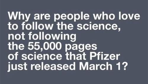 FB_IMG_1647873836458