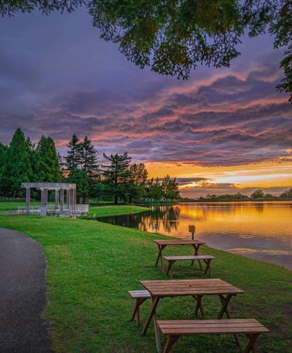 Best lunch break spot