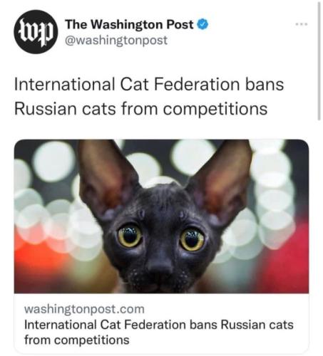 03077fcde8fb47_b00ae575_540