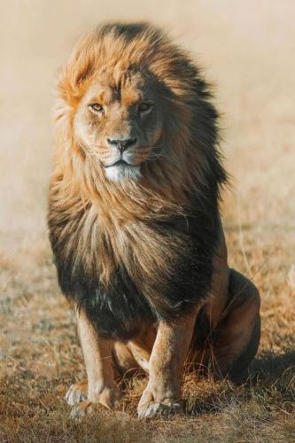 tumblr_q8c2wjcKvn1uzouo7o1_540