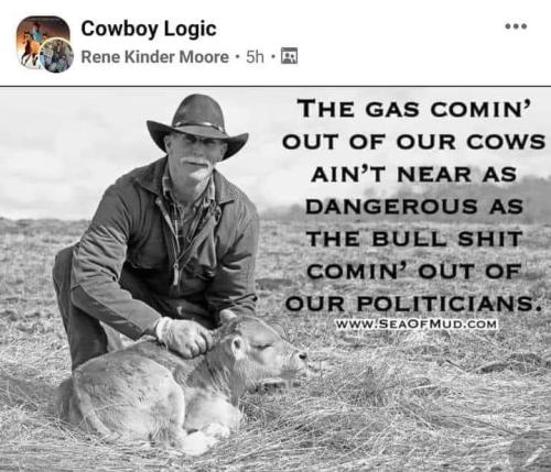 275936019_505405761258297_3846638763511646275_n