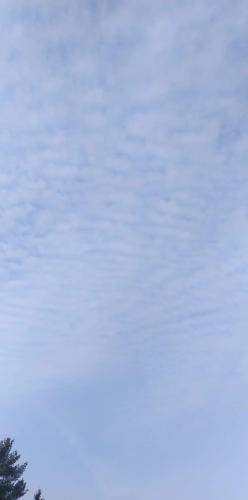 received_678995046885078