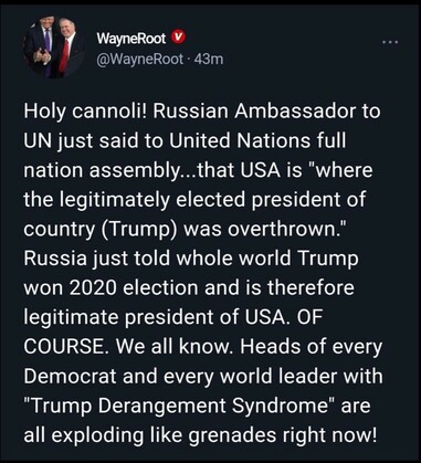 Russian Ambassador about Trump