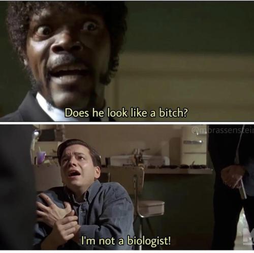 d34af75a-140c-49e9-906d-16be1517f16f