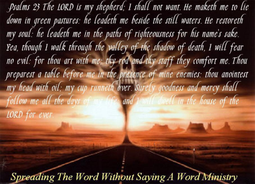 277113385_978720236123665_3108485108831060413_n