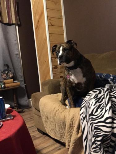 19:45:29 GMT-0500 (EST)