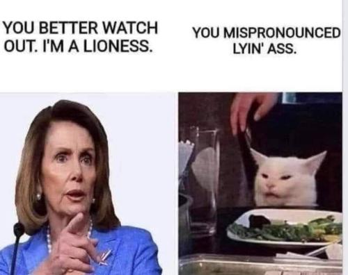 FB_IMG_1646232864140