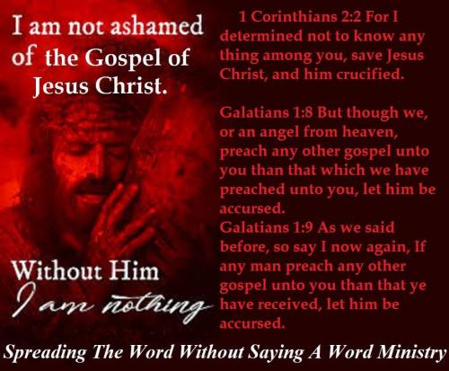 57062151_2267452790003506_8892923257464815616_n