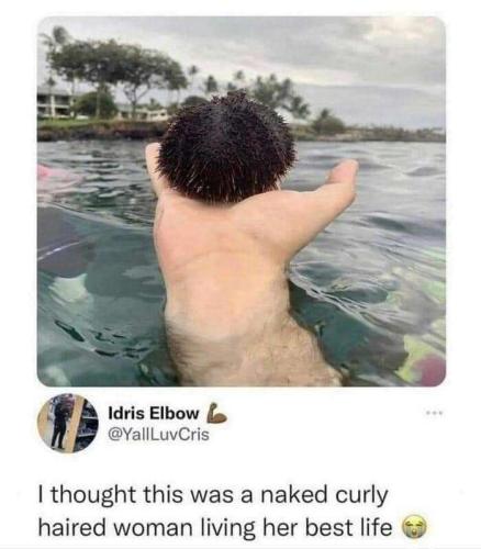 5663da68-8fba-4a2b-9fa7-c480a2baada5