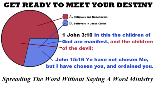 minimal-pie-chart-vecto