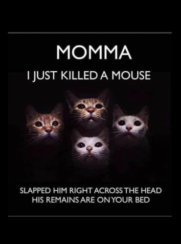 275395628_5662236167125179_8502315952718537522_n