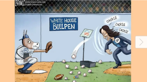 Screenshot 2022-02-20 at 10-13-22 Best of political cartoons Too many curveballs